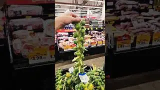 BRUSSEL SPROUT stalks. Ever seen this? #youtuber #sprouts #pleasesubscribe #likeandshare #short #sub