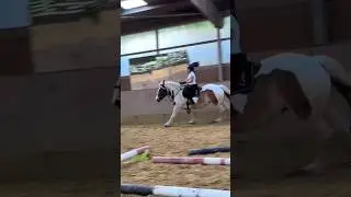 draft horses are not slow😎 #drafthorse #horse#gallopracer#foryou#viral #short#galloping#canter#love