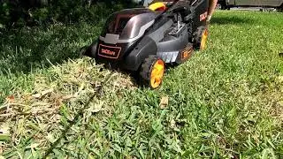 Electric lawn mower ASMR
