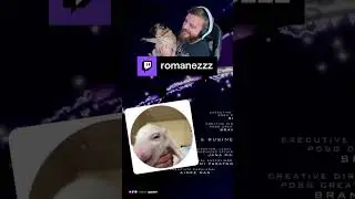 Тайминг | romanezzz с помощью #Twitch