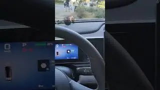 Слепит экран ночью? не беда! Меняем яркость и тему на BYD SEA LION 05