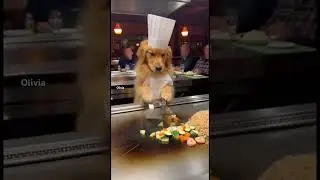 The 
