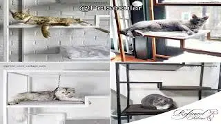 The Refined Feline 62 Inch Metropolitan Cat Condo Review: Is It Worth the Investment?