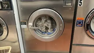 Short clip, Speed Queen SC30 MD2 washer 3rd extraction cycle