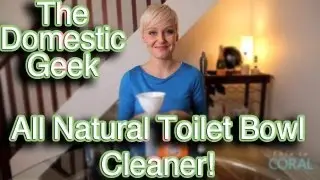 The Domestic Geek: Natural Toilet Bowl Cleaner