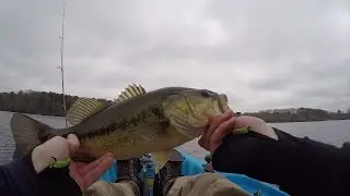 Winter Micro Jigging Bass and Perch in Deep Water