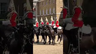Tour Guide NEVER Stop Talking During The Morning Inspection of The Life Guards
