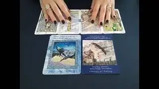 Scorpio Weekly advice June 13th 2016