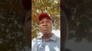 Como est&aacute; a minha vida hoje