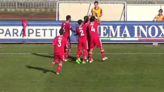 PIACENZA CALCIO 1919 - OLGINATESE : 2 - 1