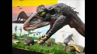 TACHIRAPTOR