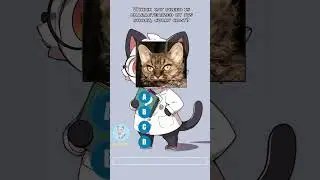 5 EASY Cat Trivia Questions -  #catquiz #cattrivia #catfacts