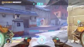 Overwatch dva quad