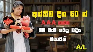A/L last days Study Plan 2025 | A/L Exam | Study Tips Sinhala