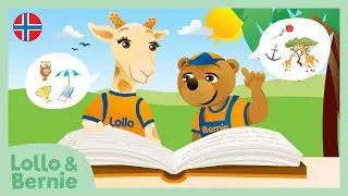 Historien om Lollo & Bernie