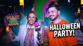 Маис и агава - Хэллоуин 2025 - Miami TV