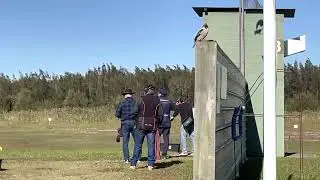 The most chill bird while shots fired