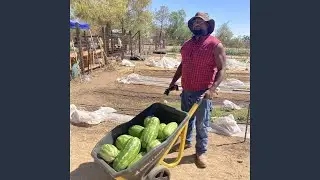 Farm Beat 1