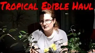 Tropical Plant Haul