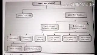 Principles and practice of auditing