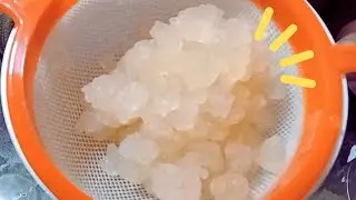 CÓMO ALIMENTAR A TUS TÍBICOS EL SECRETO PARA QUE CREZCAN SANOS Y BIEN NUTRIDOS