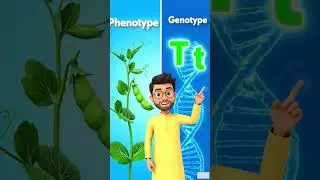 Heredity: Phenotype vs Genotype Explained! 🧬 | Class 10 Science #heredity #geneology #geneticelement