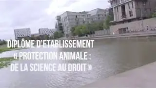 Teaser Dipl&ocirc;me d'Etablissement Protection Animale : 