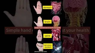 #simple #excercise #for #boast #health #stomach #brain #spine #nervoussystem #maintenance #news