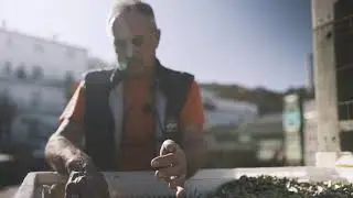 Timperio extra virgin olive oils: a Family heritage since 1943
