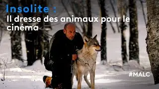Insolite : il dresse les animaux du cinéma
