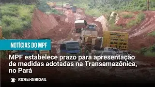 MPF estabelece prazo para apresentação de medidas adotadas na Transamazônica, no Pará  - 06/03/2025