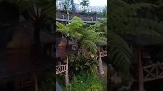 suasana drojo resto dari atas