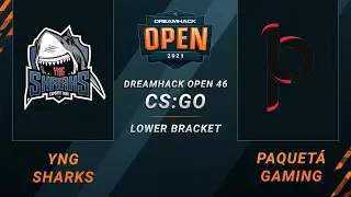 CS:GO - Paquet&aacute; Gaming vs. YNG Sharks [Nuke] Map 2 - DreamHack Open 46 Closed Qualifier - SA