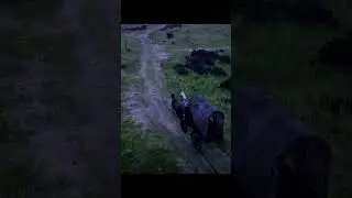 Western Delivery by Horse Carriage | RDR2 Cinematic Ambience