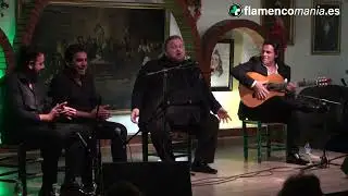 Bulerias del Chozas - Ezequiel Benítez y Paco León - PF Los Cernícalos - 1 Octubre 2021