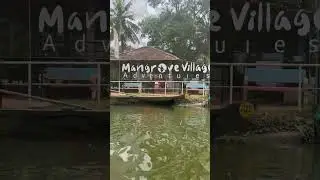 Mangrove village adventure #mangrove_forest #adventure #beachvibes #tourism #public #kayaking