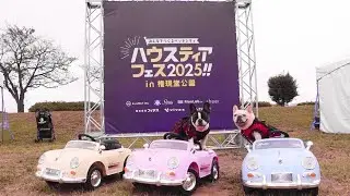 ハウスティアフェス2025 ～みんなでつくるペットシティ~ in 権現堂公園　フレブル　さくらと小春