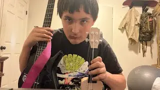 400$ bass vs 1200 ticket ukalele