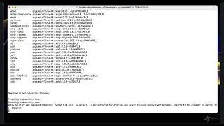 Instala&ccedil;&atilde;o do Anaconda Python no Linux