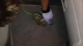 Harold the Sugar Glider: Escape from Guantanamo... Car