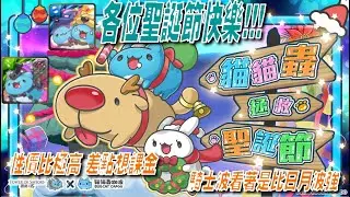【分析系列】性價比極高~可以說是聖誕禮物了~分析貓貓蟲咖波2張大獎強度 /日墜月落 ‧ 咖波/碑紋騎士 ‧ 咖波【神魔之塔ｘ貓貓蟲咖波】(CC中文字幕)