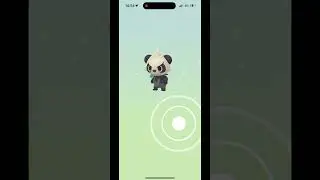 12 x 12km eggs , shiny , 98s and 93k dust