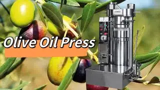 Fresh olive oil press machine multifunctional hot and cold hydraulic oil press machine#oilmill