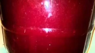 Black currant mead fermentation
