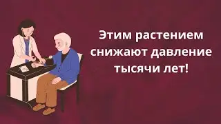 Более тысячи лет это растение применяют для лечения гипертонии!