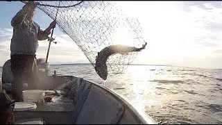 Great day fishing lingcod with 