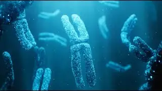 Dead Mechanics of Life