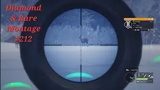 Diamond and Rare Montage #212  | TheHunter Call of the Wild Montage