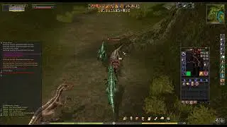 1 hour farming Shaiya Conflict in Jungle