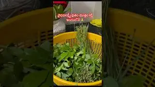 #2 వైభవలక్ష్మీ వ్రతం మొత్తం శక్తి ఇందులోనే 🙏Vaibhavalakshmi Vrat  #shorts #vaibhavalakshmi